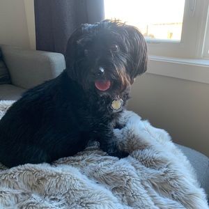 Meet your Posher, Dallas